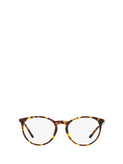 Shop Polo Ralph Lauren Ph2193 Shiny Antique Tortoise Glasses