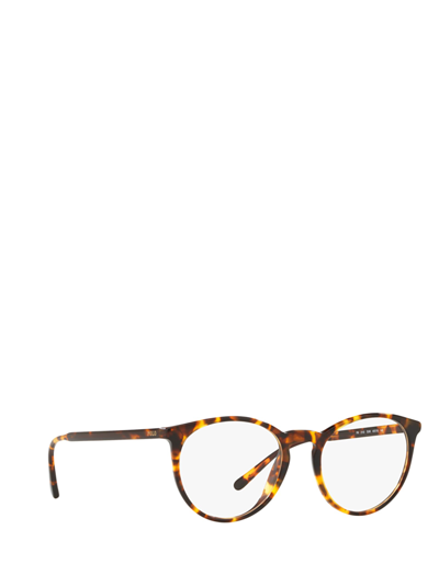 Shop Polo Ralph Lauren Ph2193 Shiny Antique Tortoise Glasses