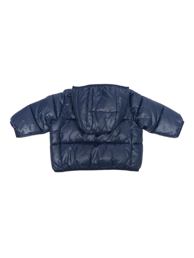 Shop Save The Duck Jody Padded Jacket In Blue
