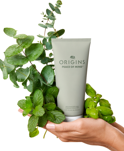 Shop Origins Peace Of Mind Exfoliating Body Scrub In No Color