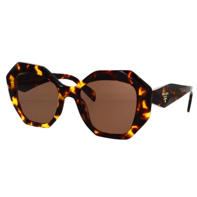 Shop Prada Eyewear Sunglasses In Tartarugato