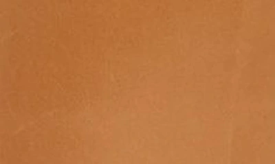 Madewell The Monterey Tall Boot In Distant Sand