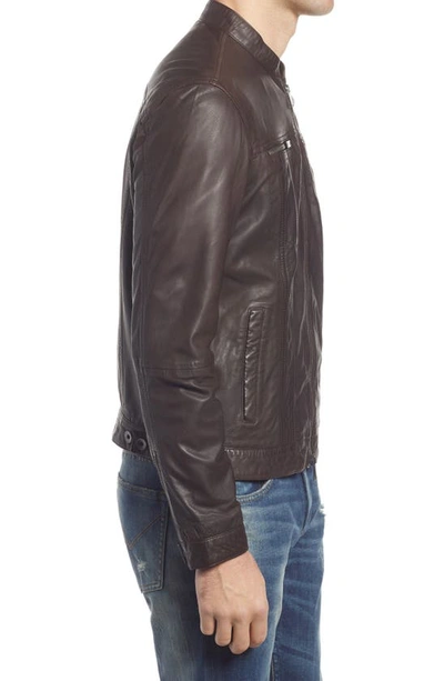 Shop John Varvatos Band Collar Leather Jacket In Chocolate