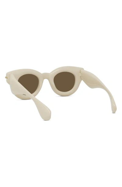 Shop Loewe Inflated Pantos 46mm Round Sunglasses In Ivory / Brown
