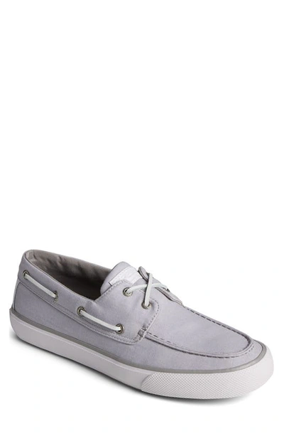 Shop Sperry Bahama Seacycled Sneaker In Grey