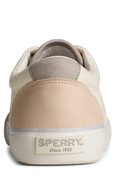Shop Sperry Seacycled™ Striper Ii Cvo Baja Sneaker In Cream