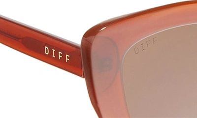 Shop Diff 52mm Cat Eye Sunglasses In Nutshell