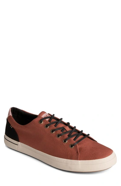 Shop Sperry Seacycled™ Striper Ii Sneaker In Rust