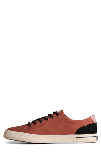 Shop Sperry Seacycled™ Striper Ii Sneaker In Rust