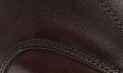 Vittorio Russo Regent Derby In Valentina Dk Brown