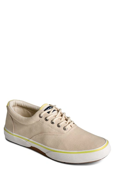 Shop Sperry Top-sider® Halyard Sneaker In Cement