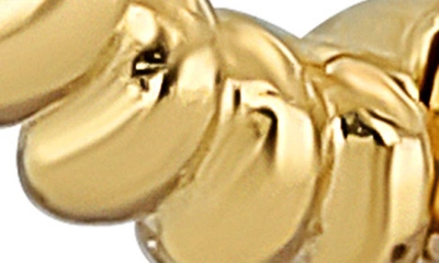 Shop Bony Levy 14k Gold Spiral Hoop Earrings In 14k Yellow Gold