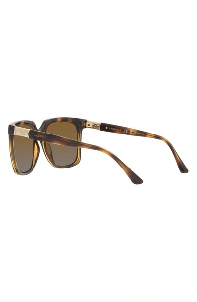 Shop Vogue 54mm Polarized Square Sunglasses In Dark Havana