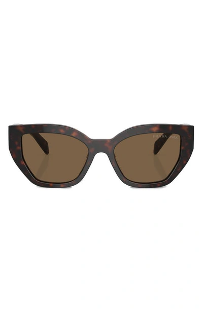 Shop Prada 55mm Butterfly Sunglasses In Dark Brown