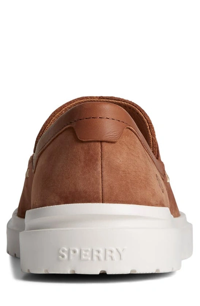 Shop Sperry Cabo Ii Penny Sneaker In Brown