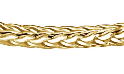 Shop Delmar Foxtail Chain Necklace In Yellow