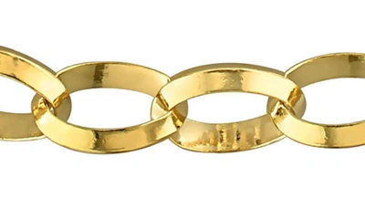 Delmar Rolo Link Chain Necklace In Yellow