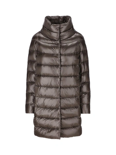 Shop Herno Coats In Gray
