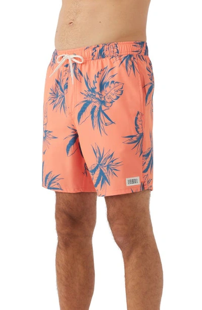 Shop O'neill Hermosa Board Shorts In Coral 2