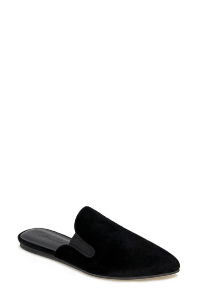 Shop Splendid Leeze Pointed Toe Mule In Black Velvet