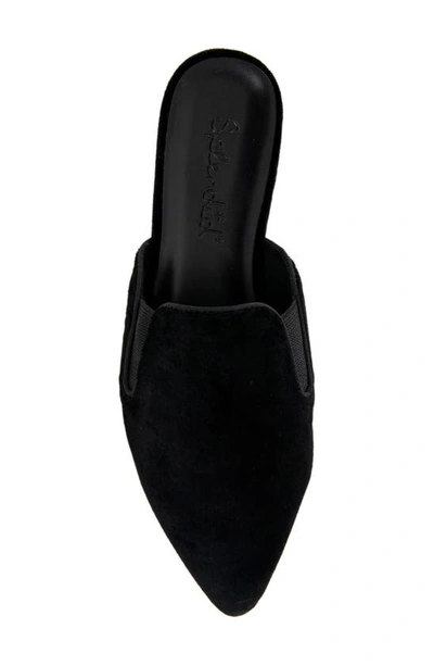 Shop Splendid Leeze Pointed Toe Mule In Black Velvet