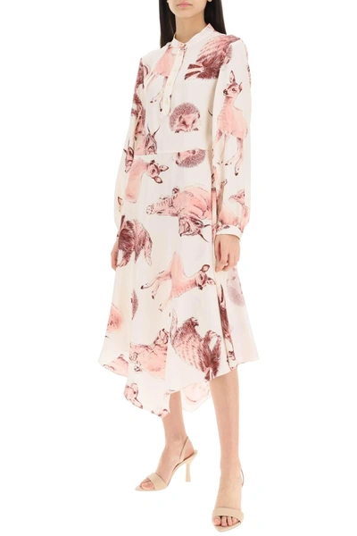 Shop Stella Mccartney Stella Mc Cartney Fauna Rewild Print Shirt Dress In Pink