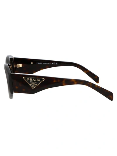 Shop Prada Sunglasses In 2au06b Tortoise