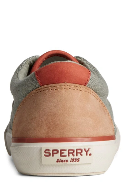 Shop Sperry Seacycled™ Striper Ii Cvo Baja Sneaker In Sage