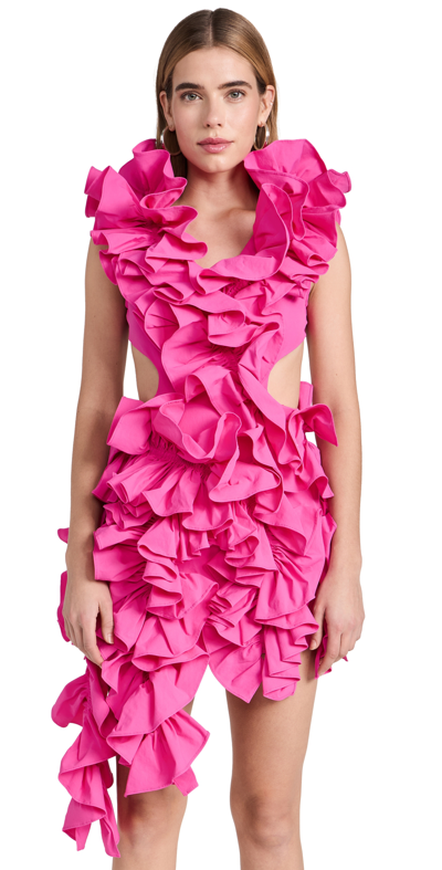 Shop Aknvas Olive Ruffle Dress Hibiscus