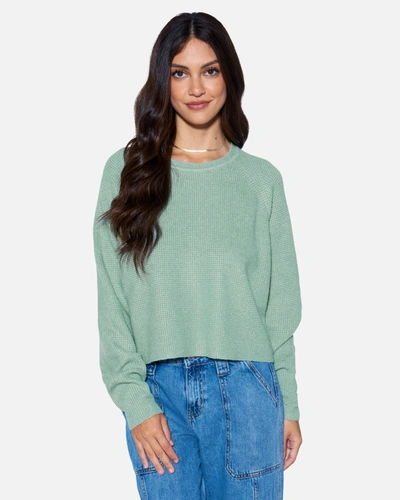 Hyfve Cropped Long Sleeve Sweater In Grey Green In Iceberg Green