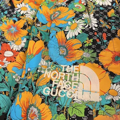 Pre-owned Gucci X North Face  Puffer Jacket In All Sizes In Multicolor