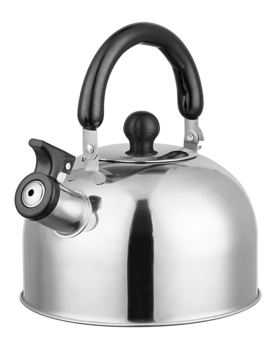 Shop Fresh Fab Finds Newage 2.1qt Stainless Steel Whistling Tea Kettle In Metallic