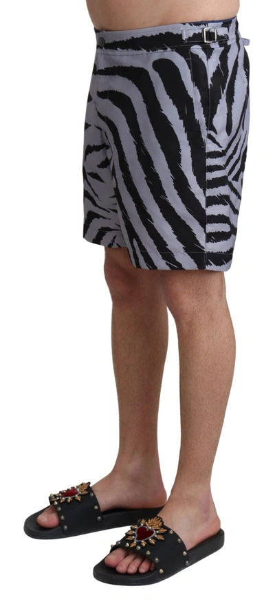 Shop Dolce & Gabbana Elegant Gray Zebra Print Swim Men's Trunks