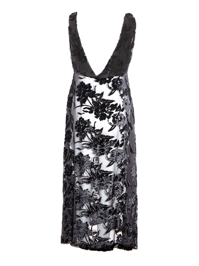 Shop Lardini Elegant Embroidered Black Velvet Women's Dress