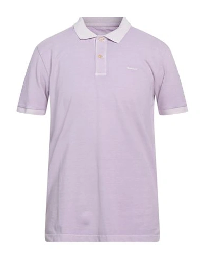 Shop Gant Man Polo Shirt Lilac Size M Cotton In Purple