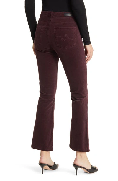 Shop Ag Farrah High Waist Crop Bootcut Velvet Pants In Pinot Noir