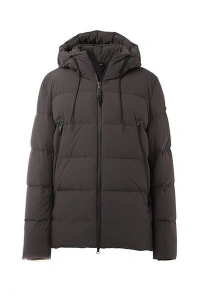 Duno Jacket In Brown