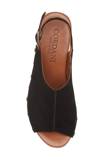Cordani Winnie Slingback Sandal In Camoscio Nero