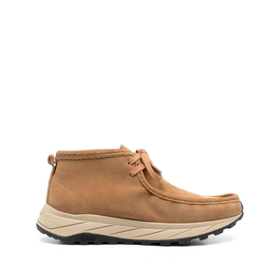 Shop Clarks Shoes In Brown