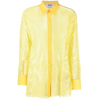 Shop Msgm Shirts In Yellow