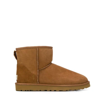Shop Ugg Shoes In Brown