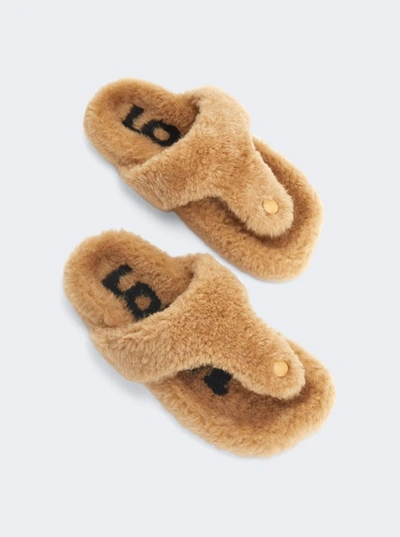 Shop Loewe Ease Toe Post Shearling Sandal In Neutrals