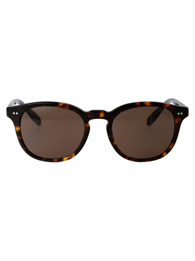 Shop Polo Ralph Lauren Eyewear Oval Frame Sunglasses In Brown