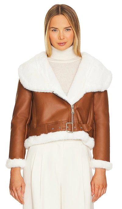 Shop Adrienne Landau Faux Mink Fur Bonded Jacket In Tan