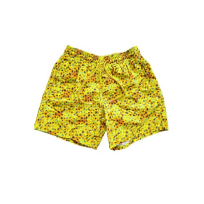 Shop Vilebrequin - Sun Yellow Moorea Micro Turtles Swim Shorts Mooc4b38-110