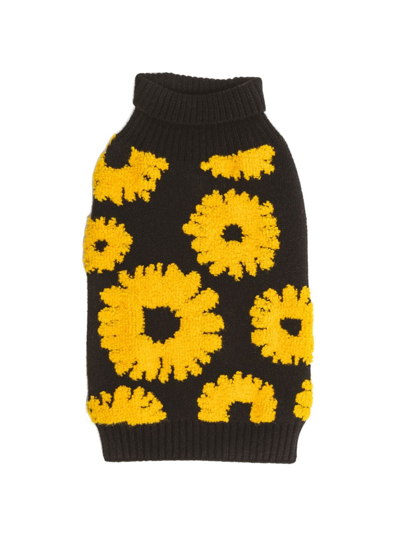 Shop Shaya Pets Sunflower Days Luxury Sweater In Black Yellow
