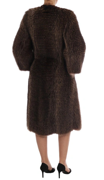 Shop Dolce & Gabbana Elegant Brown Raccoon Fur Knee-length Women's Coat