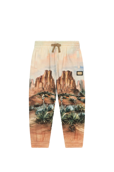 Shop Dolce & Gabbana Jogging Pants With Print In Multicolor