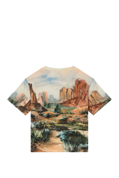 Shop Dolce & Gabbana Cotton T-shirt With Print In Multicolor