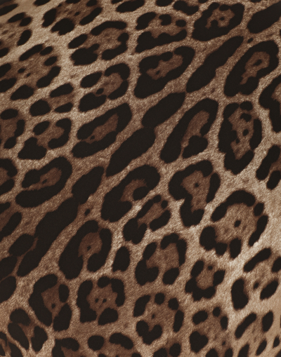 Dolce & Gabbana Medium Leopardo-print Velvet Cushion In マルチカラー